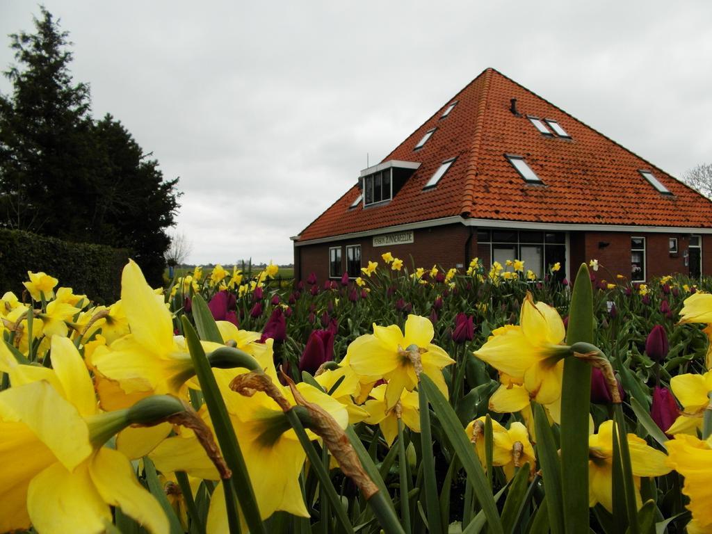 Pension Zonneweelde Oosthuizen Exteriör bild