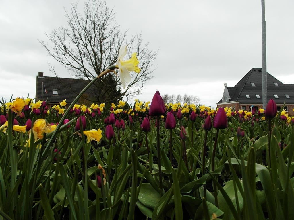 Pension Zonneweelde Oosthuizen Exteriör bild