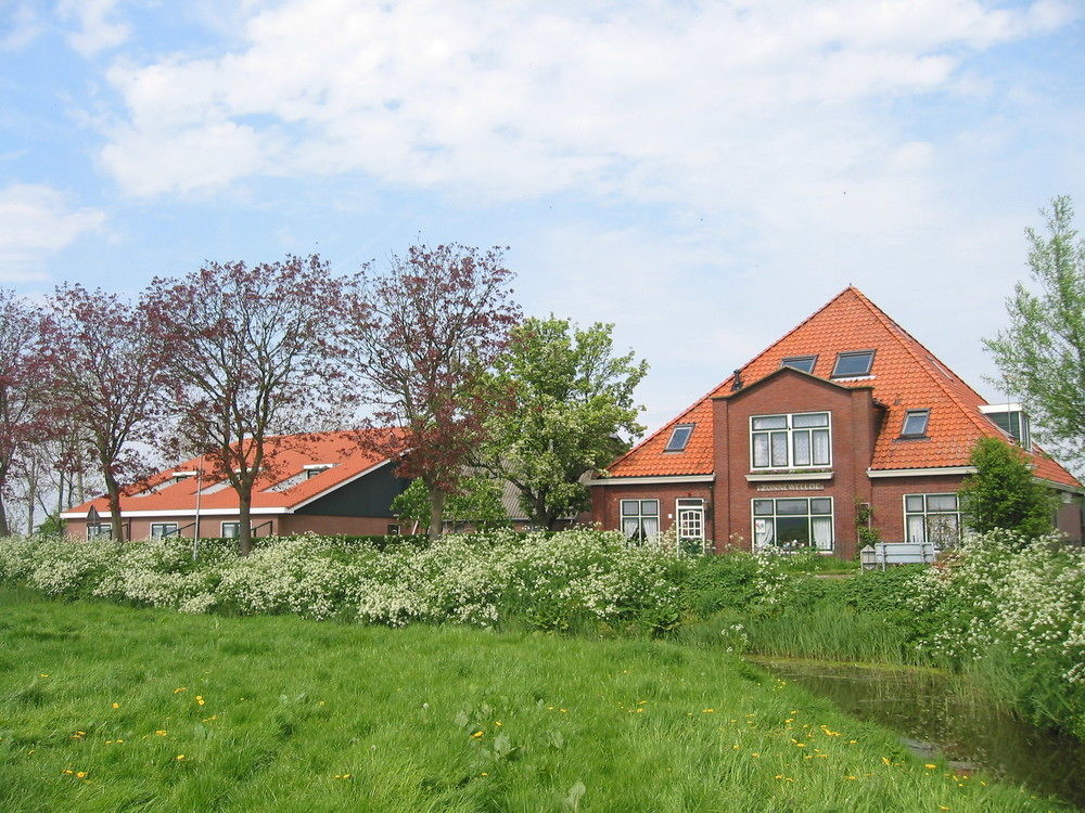 Pension Zonneweelde Oosthuizen Exteriör bild